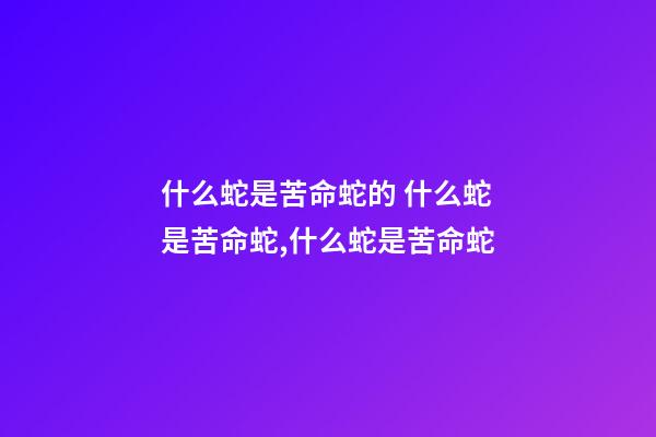 什么蛇是苦命蛇的 什么蛇是苦命蛇,什么蛇是苦命蛇-第1张-观点-玄机派